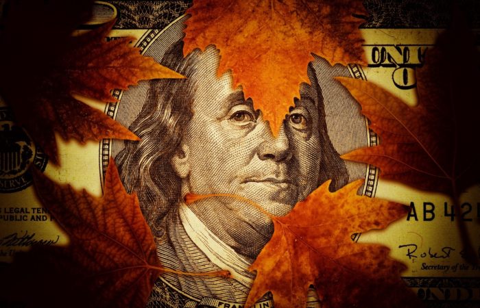 Dollar bill covered in fall leaves