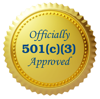 501(c)(3) seal of approval
