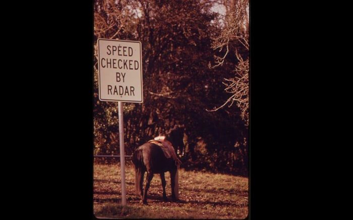 horse with speed check sign