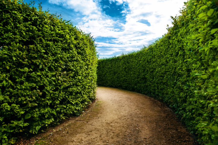 hedge maze to illustrate inflation hedge
